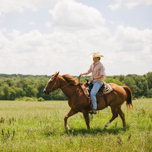 Meet your Posher, Wilson